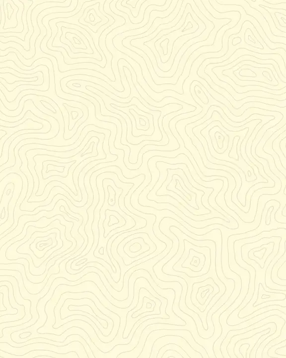 Fear Not: social post · blank