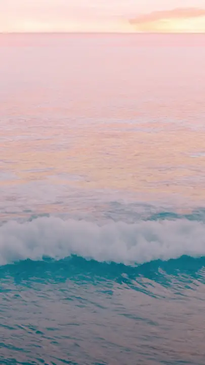 Beach Baptism: story · blank