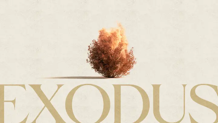 Exodus: HD slide