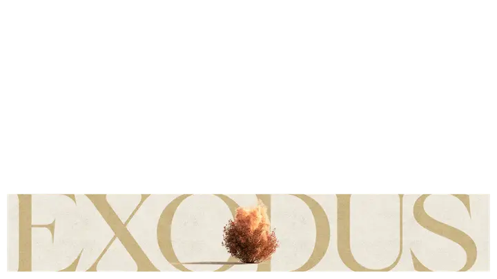 Exodus: lower third
