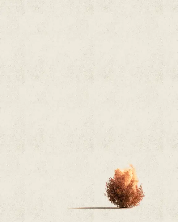 Exodus: social post · blank