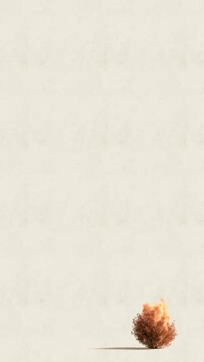 Exodus: story · blank