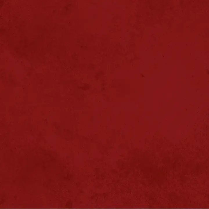 Spring BBQ Fellowship: social post · blank
