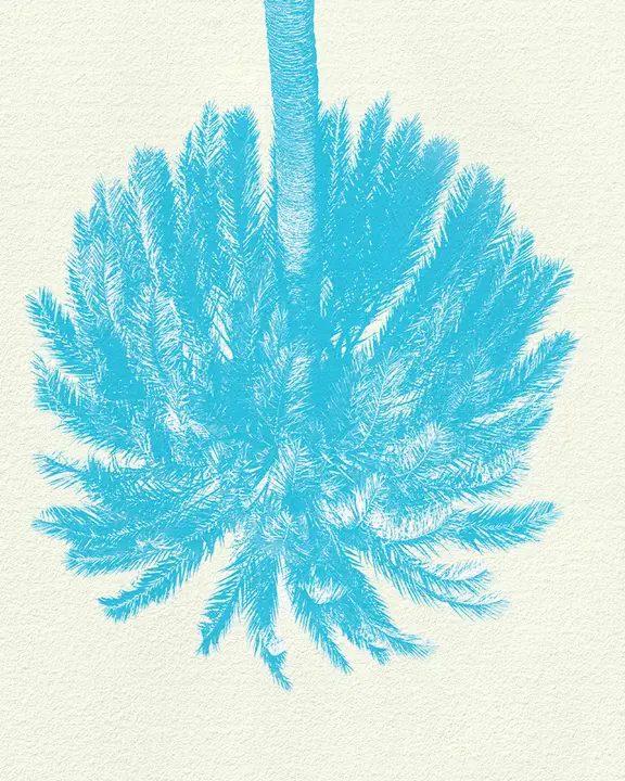 Summer in the Psalms: social post · blank