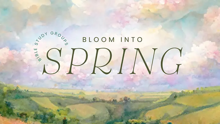 Bloom Into Spring: web preview