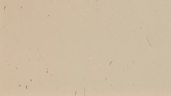 Genesis Paper: 4K slide · blank
