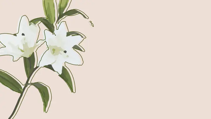 Lily Donations: 4K slide · blank