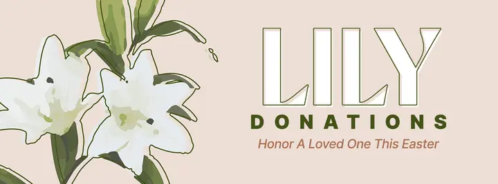 Lily Donations: facebook cover