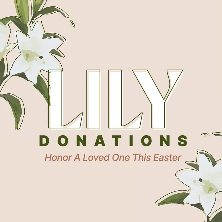 Lily Donations: social post