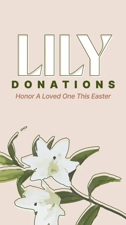 Lily Donations: story
