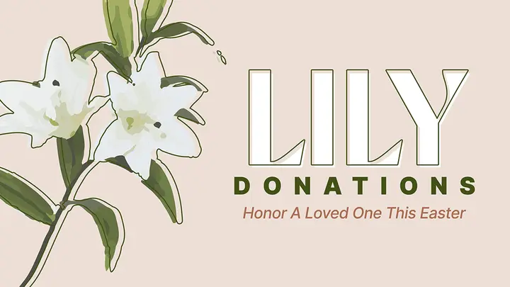 Lily Donations: web preview
