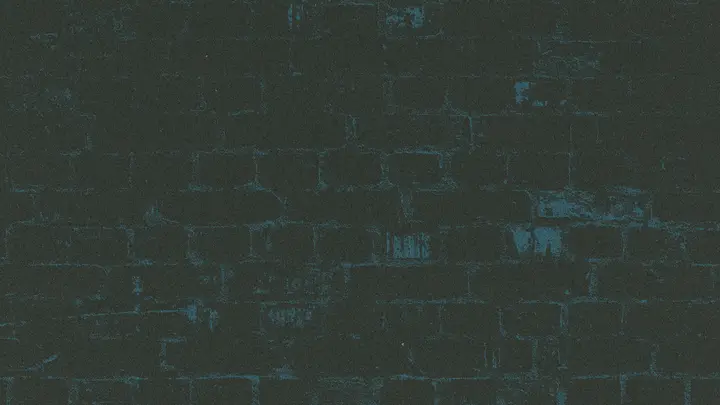 Brick by Brick: blank background