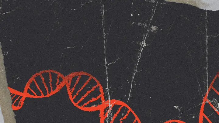 Fearfully and Wonderfully Made: blank background