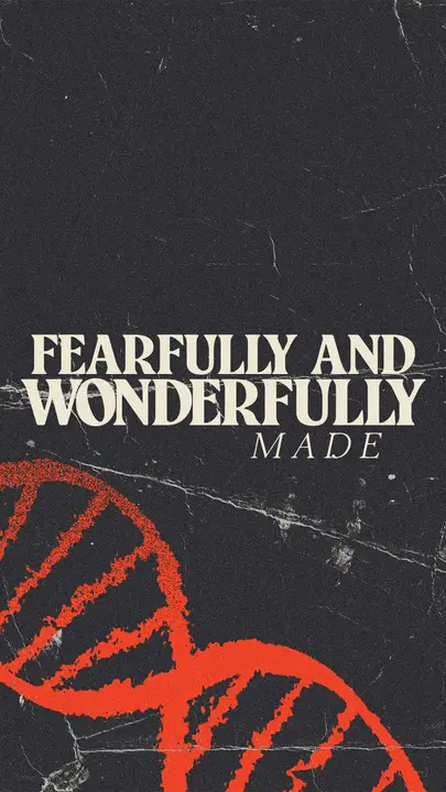 Fearfully and Wonderfully Made: story