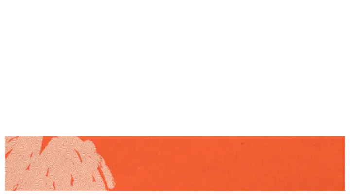 Dealing with Disappointment: lower third · blank