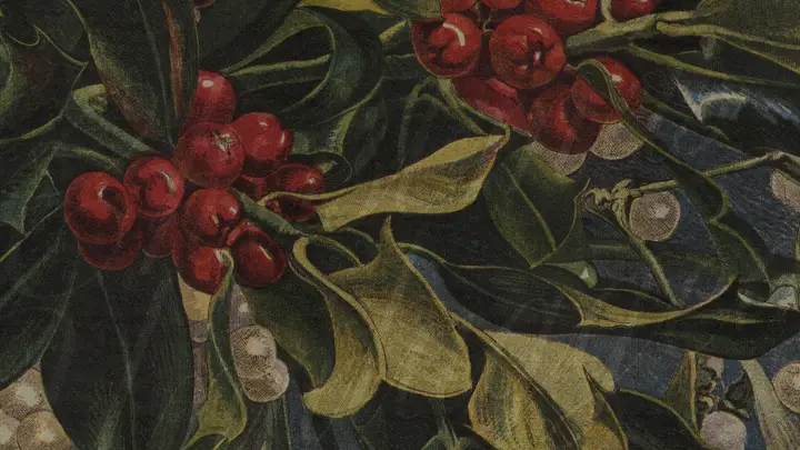 Christmas Unplugged: blank background