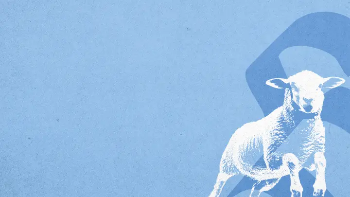 The Good Shepherd: 4K slide · blank
