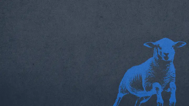 The Good Shepherd: notes slide