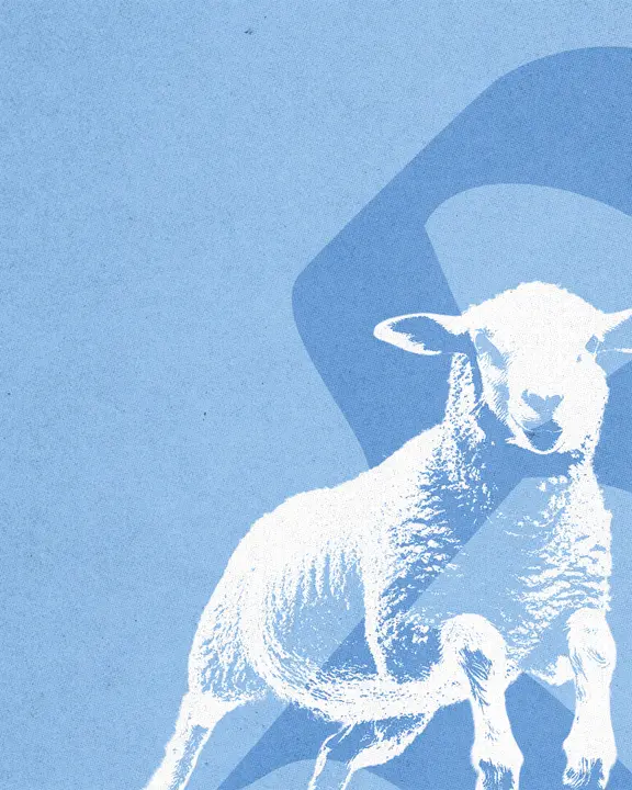 The Good Shepherd: social post · blank