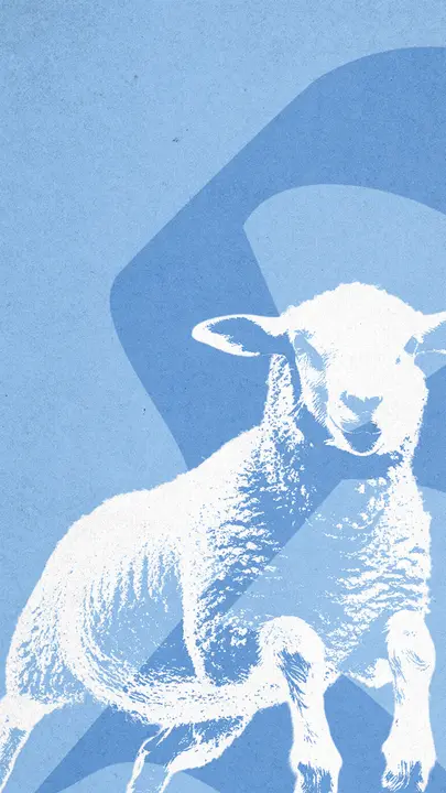 The Good Shepherd: story · blank