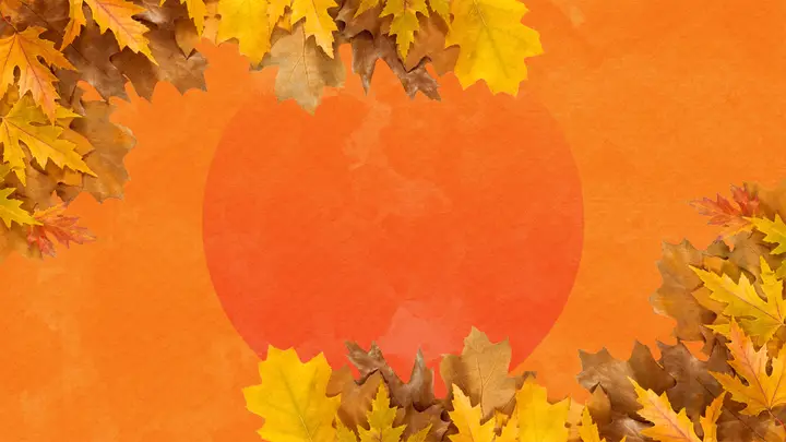 Thanksgiving Meal: 4K slide · blank