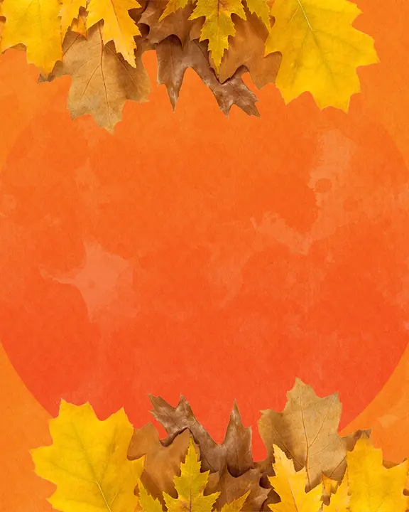 Thanksgiving Meal: social post · blank