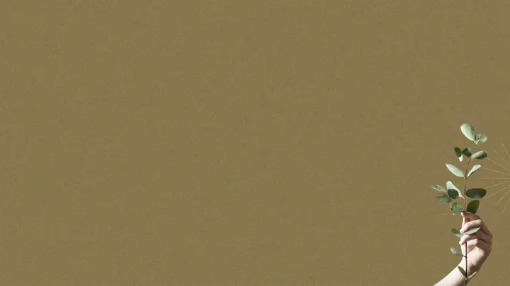 The Generous Life: 4K slide · blank