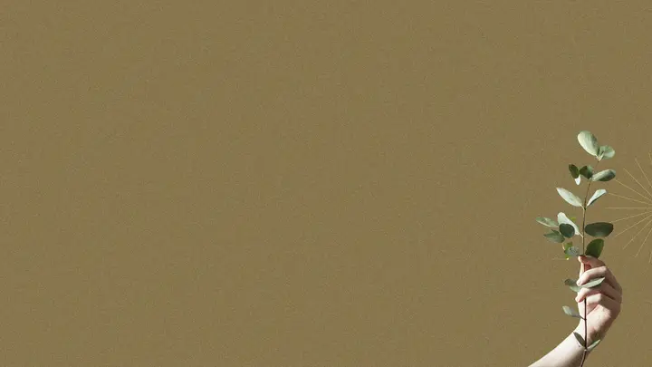 The Generous Life: blank background