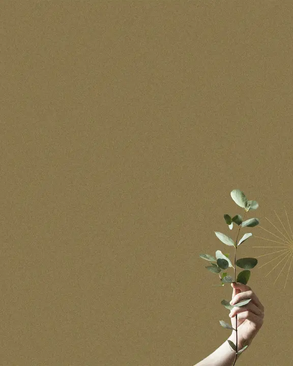 The Generous Life: social post · blank