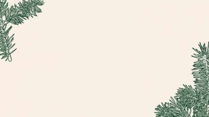 Christmas: blank background