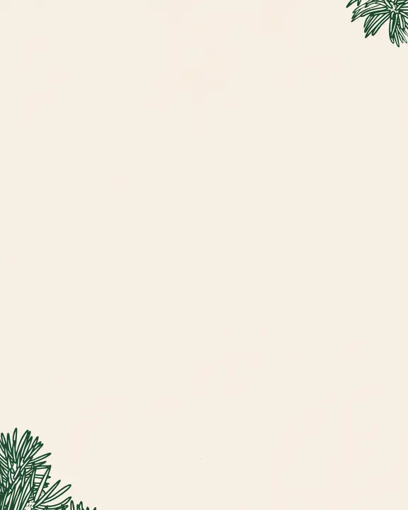 Christmas: social post · blank