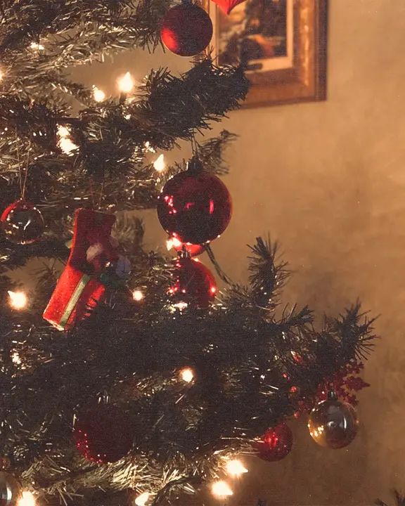 Young Adult Christmas Party: social post · blank
