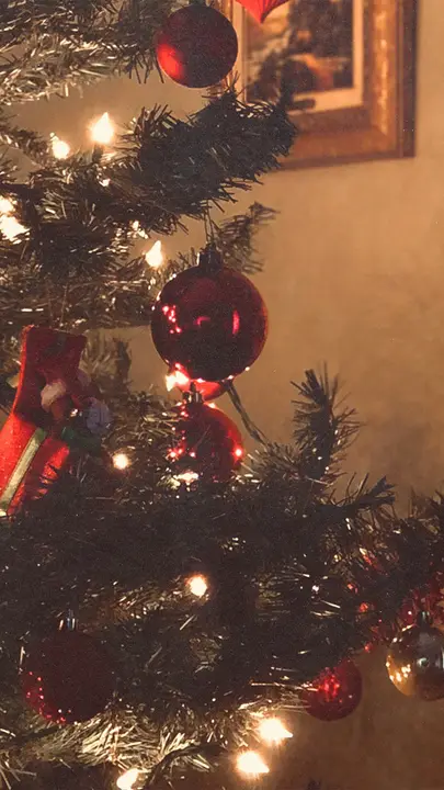 Young Adult Christmas Party: story · blank
