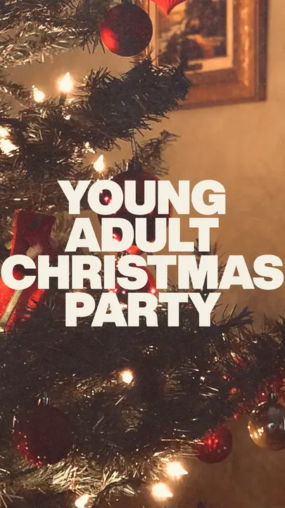 Young Adult Christmas Party: story
