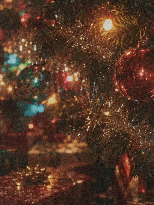 Christmas: social post · blank