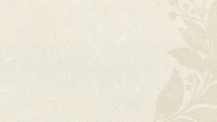 Christmas: blank background