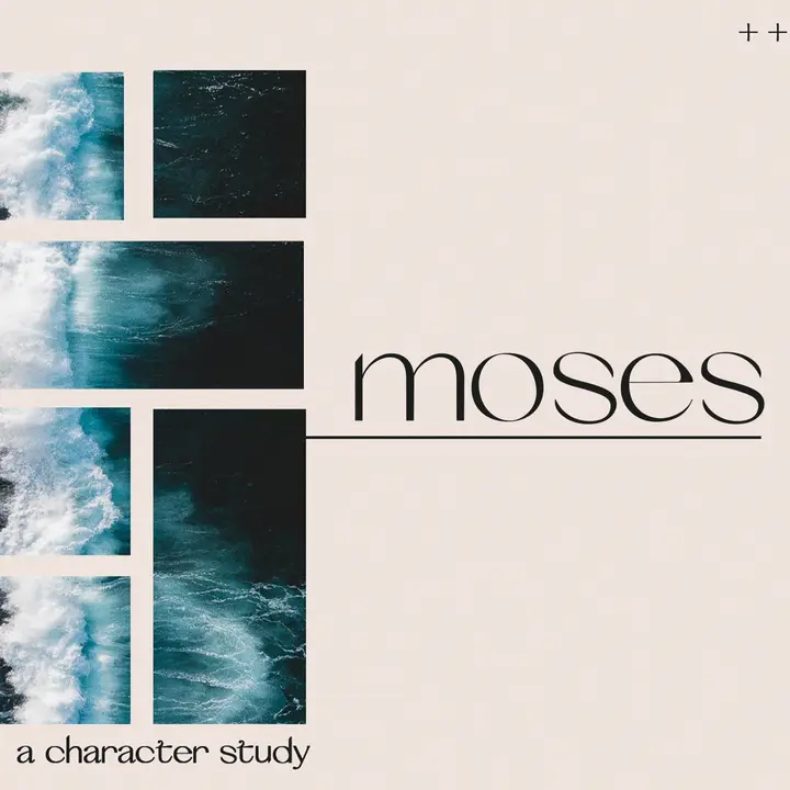 Moses: social post