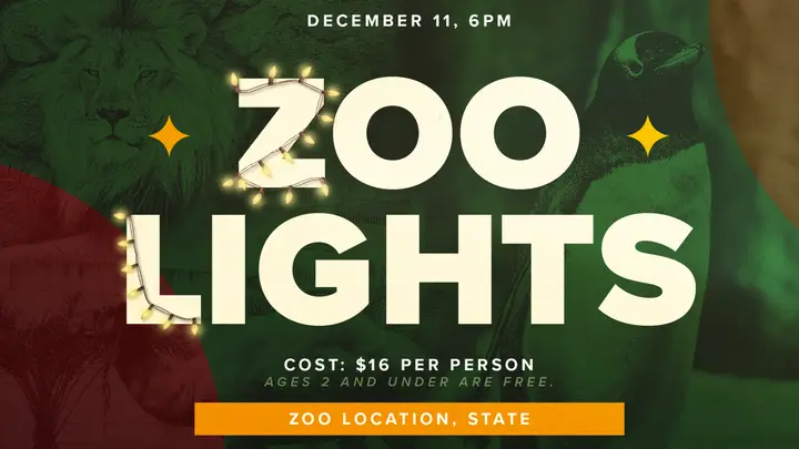 Zoo Lights: HD slide