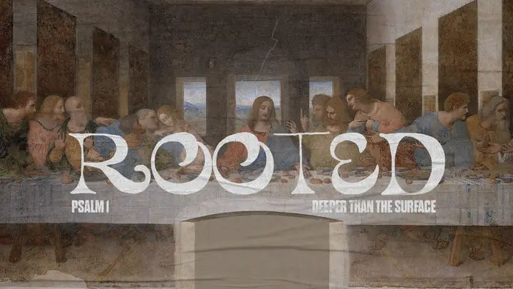 Rooted: HD slide
