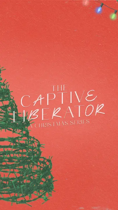 Captive Liberator: story