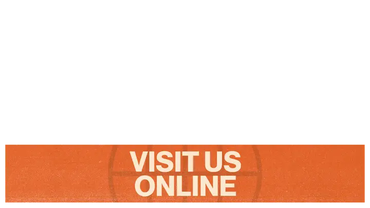 Visit Us Online: lower third