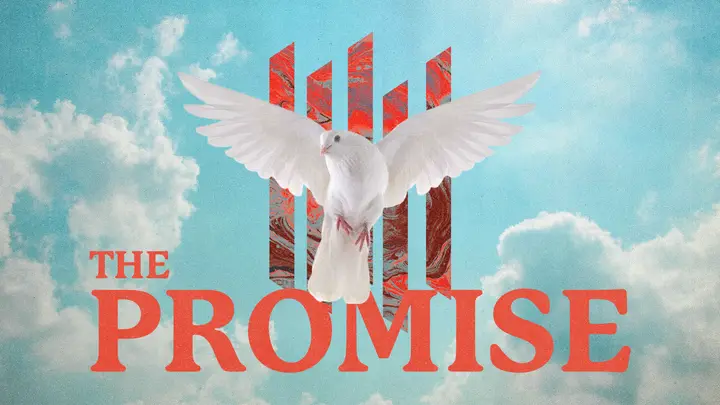 The Promise: HD slide