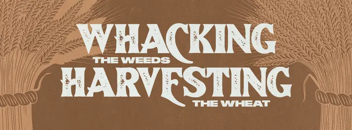 Whacking The Weeds Harvesting The Wheat: facebook cover