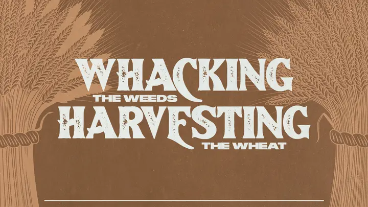 Whacking The Weeds Harvesting The Wheat: HD slide