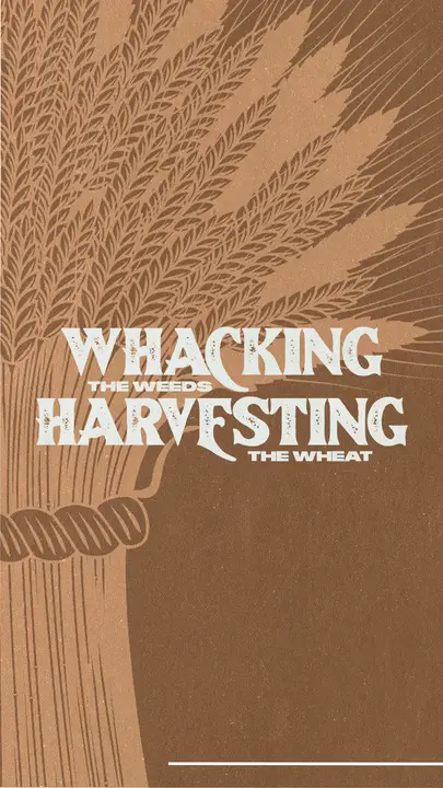 Whacking The Weeds Harvesting The Wheat: story