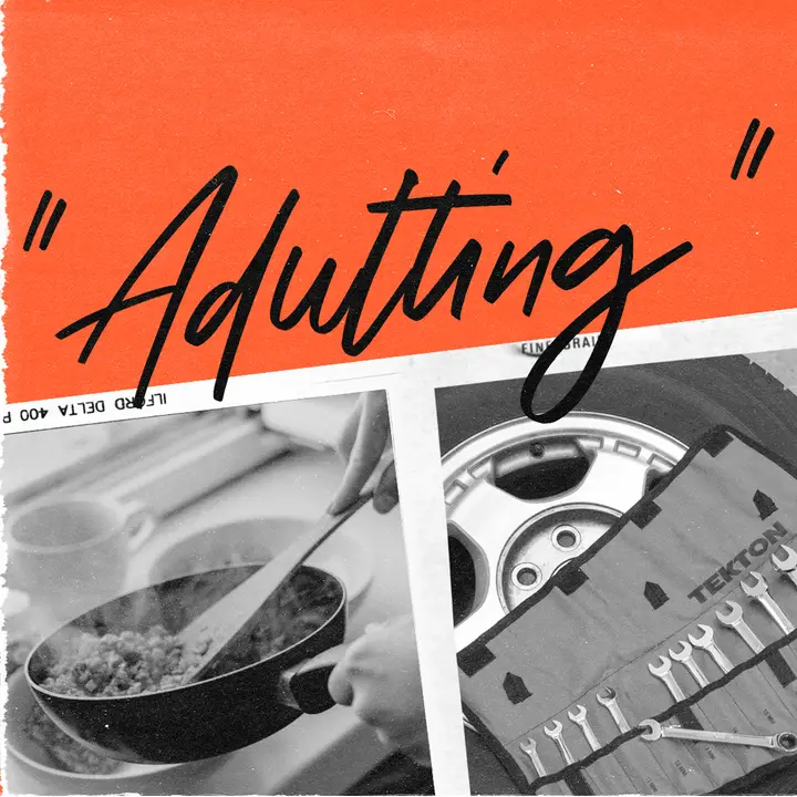Adulting: social post