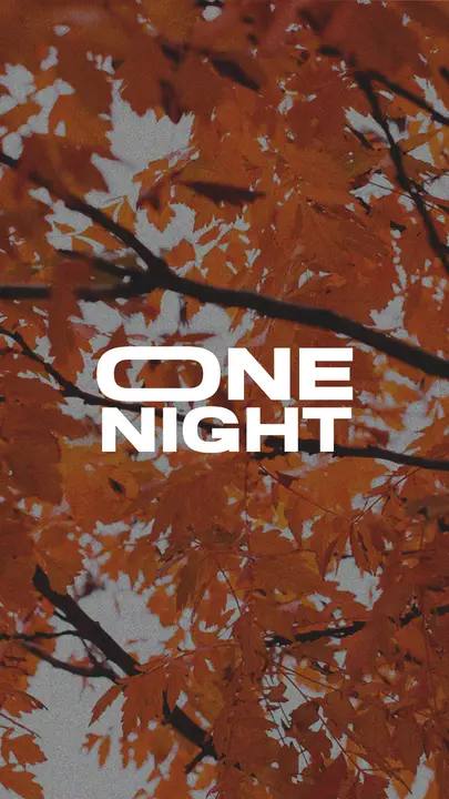 One Night: story