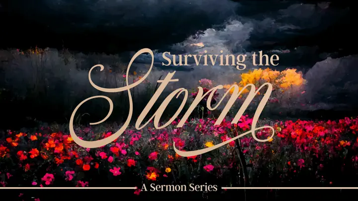 Surviving The Storm: slide 2