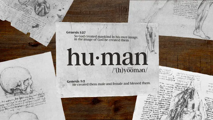 Human: 4K slide