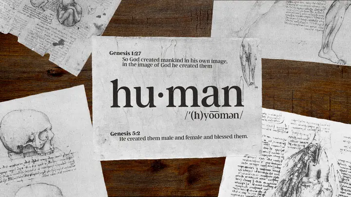 Human: HD slide